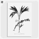 2-29_Les-Palmiers-Histoire-Iconographique_picture-crop