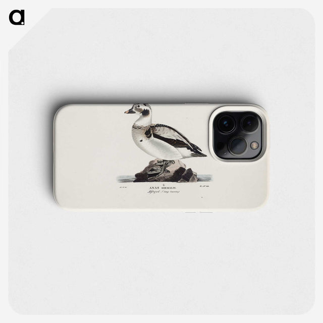 2-29_Magnus-von-Wright_phone