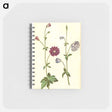 アートメモ帳-Aquilegia vulgaris
 - マリア ジビーラ メーリアン Memo.