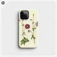 2-29_Maria-Sibylla-Merian_phone