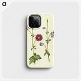 2-29_Maria-Sibylla-Merian_phone