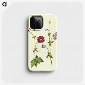 2-29_Maria-Sibylla-Merian_phone