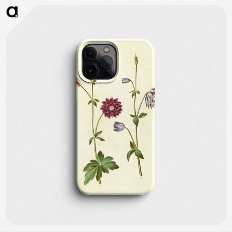 2-29_Maria-Sibylla-Merian_phone