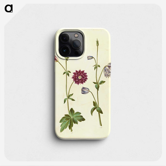 2-29_Maria-Sibylla-Merian_phone