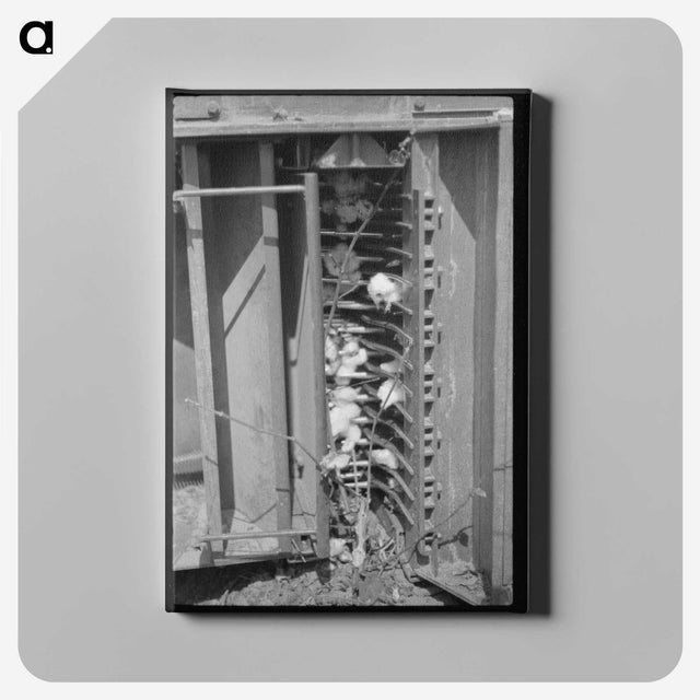 2-29_Marion-Post-Wolcott_canvas