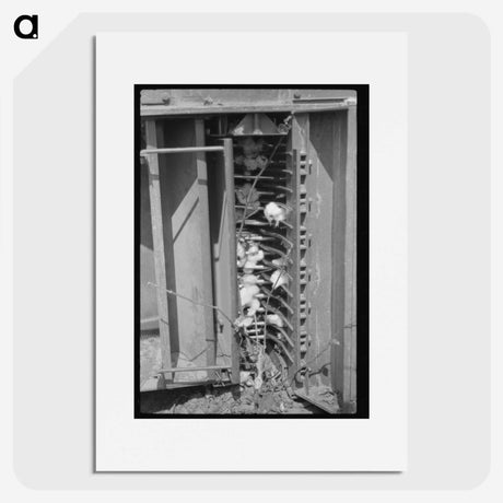 2-29_Marion-Post-Wolcott_picture