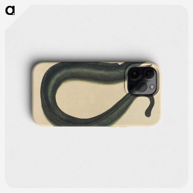 2-29_Mark-Catesby_phone