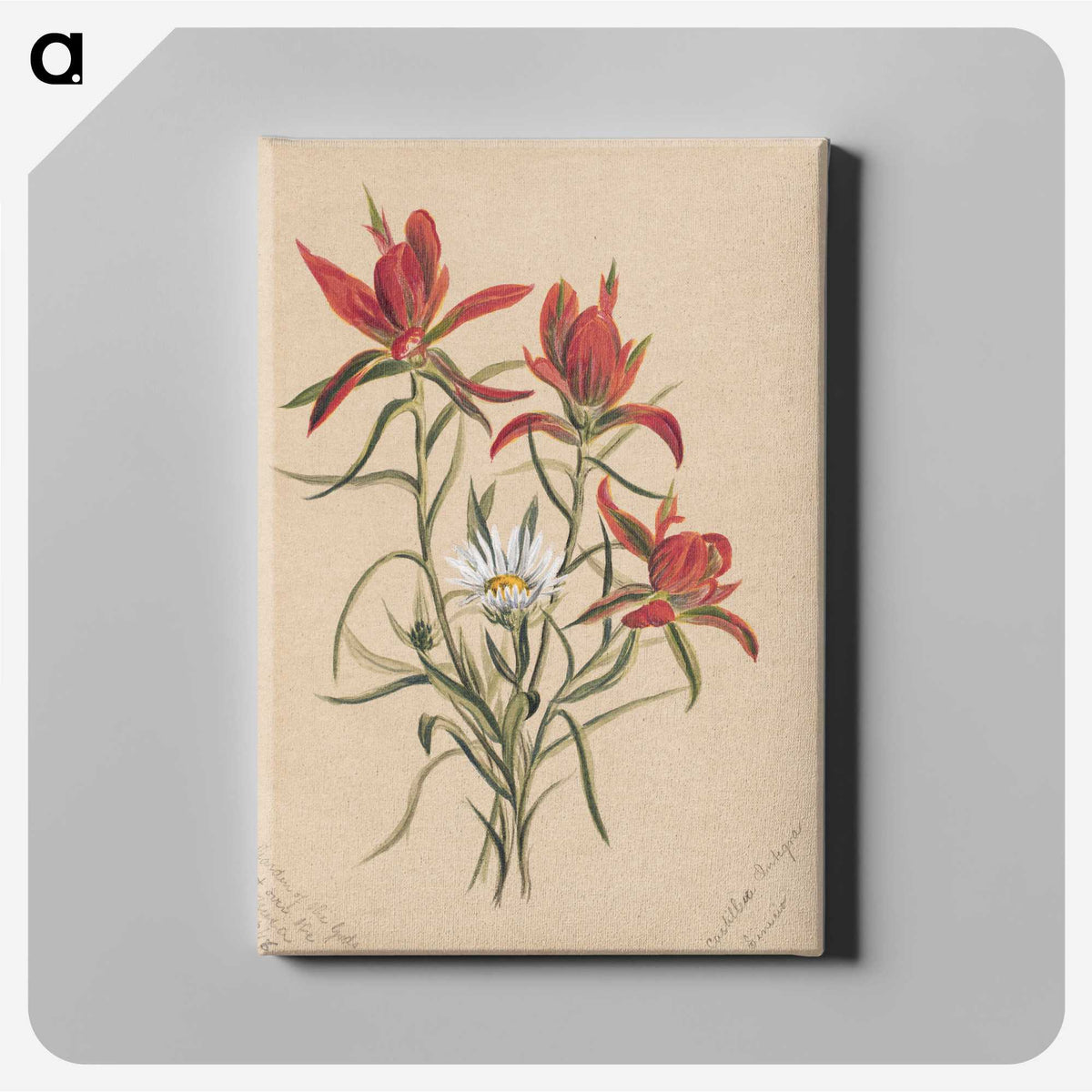 2-29_Mary-Vaux-Walcott_canvas