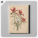2-29_Mary-Vaux-Walcott_canvas