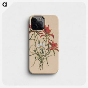 2-29_Mary-Vaux-Walcott_phone