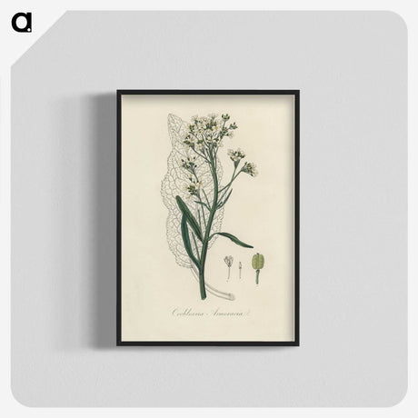 2-29_Medical-Botany_blk-crop