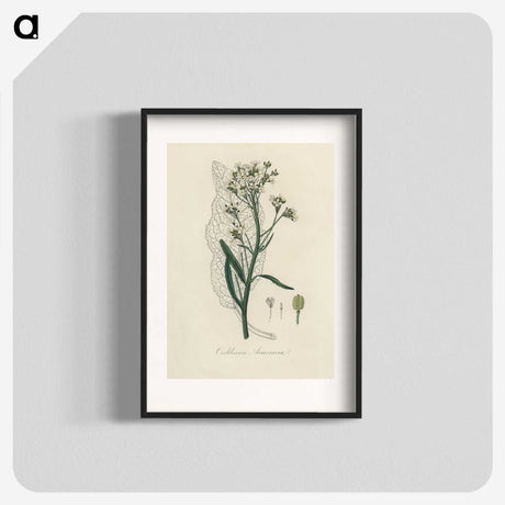 2-29_Medical-Botany_blk
