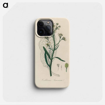 Horseradish Illustration
 - 薬用植物学 Phone Case.