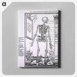 アートパネル-Anatomy of a Skeleton
 - 国立医学図書館 Canvas.