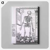 アートパネル-Anatomy of a Skeleton
 - 国立医学図書館 Canvas.