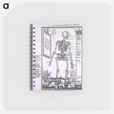 アートメモ帳-Anatomy of a Skeleton
 - 国立医学図書館 Memo.