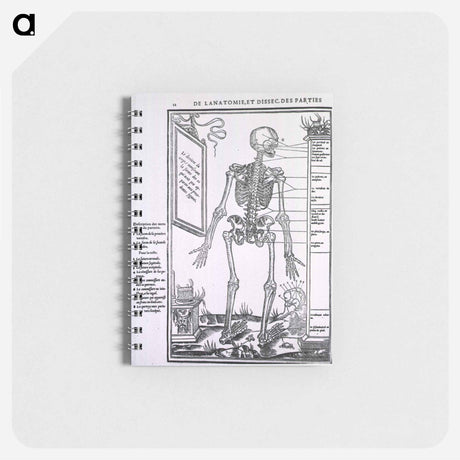 アートメモ帳-Anatomy of a Skeleton
 - 国立医学図書館 Memo.