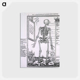 アートポストカード-Anatomy of a Skeleton
 - 国立医学図書館 Postcard.