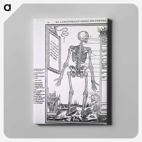 2-29_National-Library-of-Medicine_canvas
