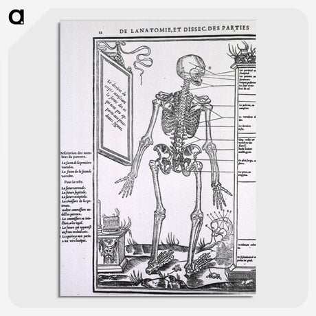 2-29_National-Library-of-Medicine_picture-crop