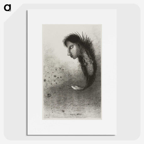 2-29_Odilon-Redon_picture