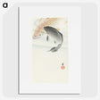 2-29_Ohara-Koson_picture