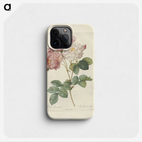 2-29_Pierre-Joseph-Redoute_phone