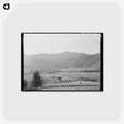 アートポストカード-Tillamook County Dairyland
 - ラッセル リー Postcard.