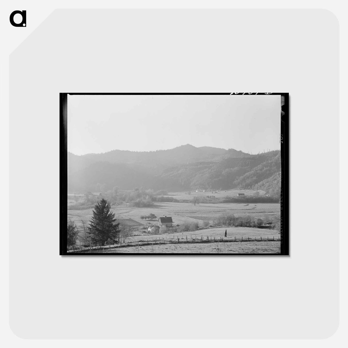 アートポストカード-Tillamook County Dairyland
 - ラッセル リー Postcard.