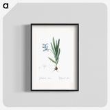 2-29_The-Lilies_blk