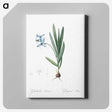 2-29_The-Lilies_canvas