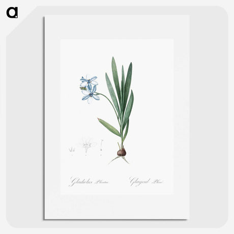 2-29_The-Lilies_picture