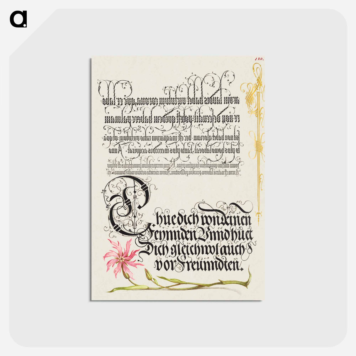 アートポストカード-Cuckoo Flower from Mira Calligraphiae Monumenta or The Model Book of Calligraphy
 - 書道のお手本 Postcard.