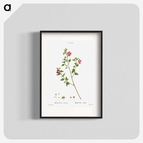 2-29_Treatise-on-Trees-and-Shrubs_blk