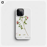 2-29_Treatise-on-Trees-and-Shrubs_phone