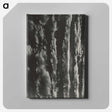 2-2_Alfred-Stieglitz_canvas