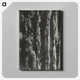 2-2_Alfred-Stieglitz_canvas