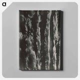 Songs of the Sky - アルフレッド スティーグリッツ Canvas.