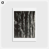 アートポストカード-Songs of the Sky - アルフレッド スティーグリッツ Postcard.