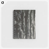 2-2_Alfred-Stieglitz_memo