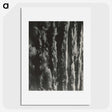 2-2_Alfred-Stieglitz_picture