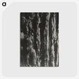 2-2_Alfred-Stieglitz_postcard