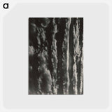 アートポストカード-Songs of the Sky - アルフレッド スティーグリッツ Postcard.
