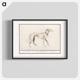Greyhound - アンセルムス ボエティウス デ ブート Poster.