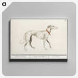 2-2_Anselmus-Boetius-de-Boodt_canvas