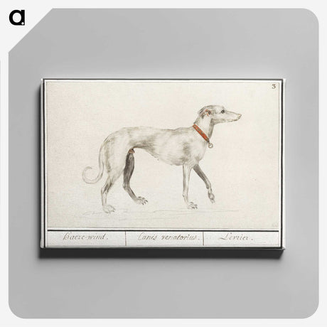 2-2_Anselmus-Boetius-de-Boodt_canvas