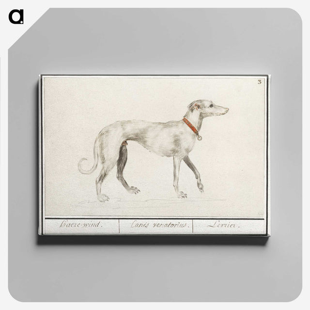 2-2_Anselmus-Boetius-de-Boodt_canvas