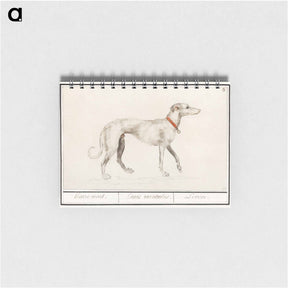 アートメモ帳-Greyhound - アンセルムス ボエティウス デ ブート Memo.