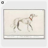 2-2_Anselmus-Boetius-de-Boodt_picture-crop