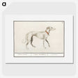2-2_Anselmus-Boetius-de-Boodt_picture